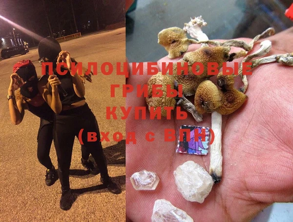 тгк Новокубанск