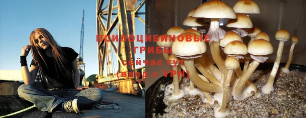 кокаин Новодвинск
