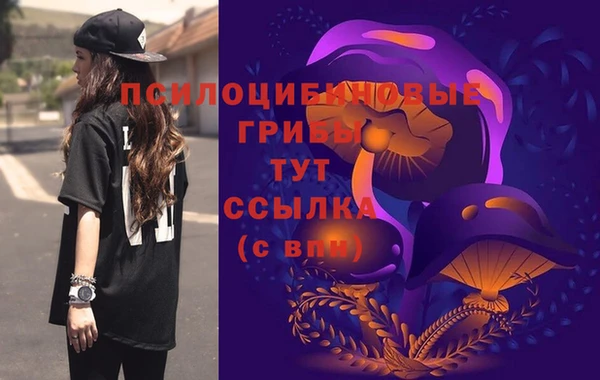 тгк Новокубанск